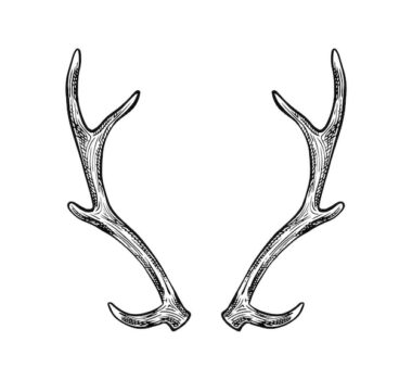 Free Vector | Vector hand drawn icon horns isolated on white background