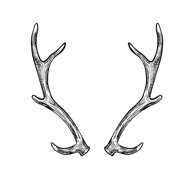 Free Vector | Vector hand drawn icon horns isolated on white background