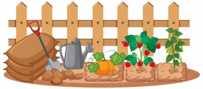 Free Vector | Vegetables growing in the garden on white background