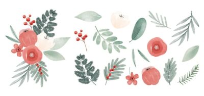 Free Vector | Watercolor christmas flower and leaves collection