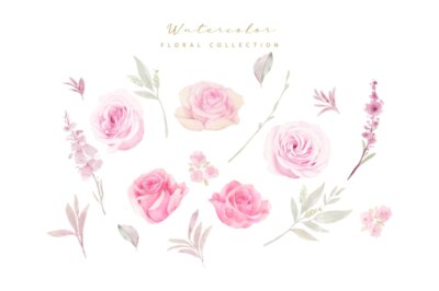 Free Vector | Watercolor roses collection