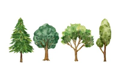 Free Vector | Watercolor type of trees collection