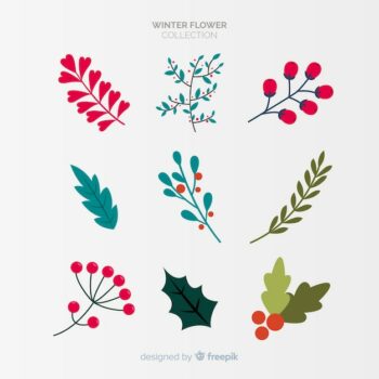 Free Vector | Winter flowers collection