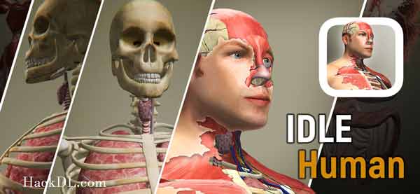 Idle Human Mod Apk 1.15 (Hack Unlimited Diamonds)