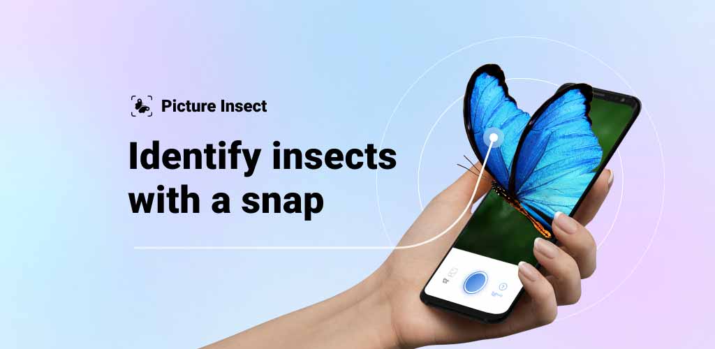 Picture Insect & Spider ID Mod Apk V2.8.3 (Ad-Free/Pro Unlocked)