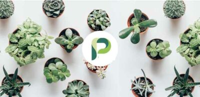 Planta Mod Apk v2.1.1 (Ad-Free/Pro Unlocked)