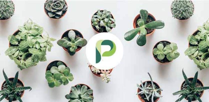 Planta Apk,