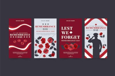 Free Vector | Flat remembrance day instagram stories collection