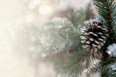 Free Photo | Christmas bokeh effect background with pine branches, cones, and space for inscription