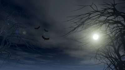Free Photo | Halloween background with spooky trees against a moonlit sky