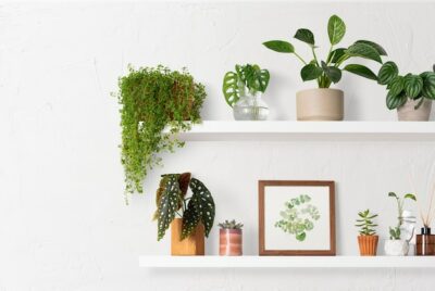 Free Photo | Home decor indoor plant shelf