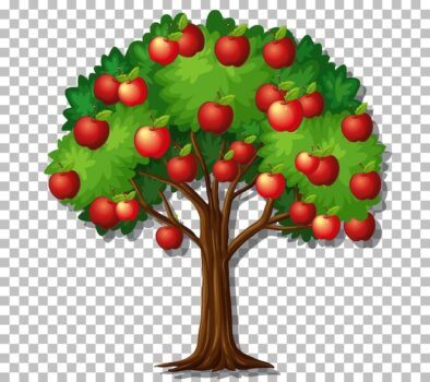 Free Vector | Apple tree on transparent background
