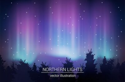 Free Vector | Arctic borealis realistic vector illustration
