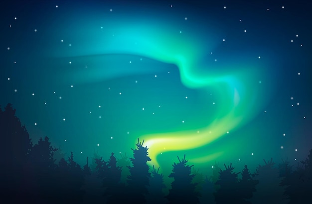Free Vector | Aurora realistic night background