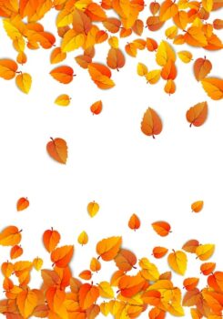 Free Vector | Autumn vertical leaf background golden falling foliage autumn banner isolated on white vector