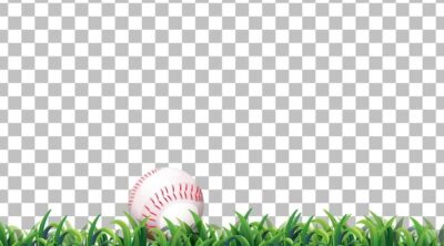 Free Vector | Baseball on the grass field on transparent background