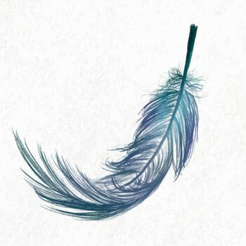 Free Vector | Blue feather element vector in white background