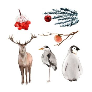 Free Vector | Caribou, bird, penguin watercolor design illustration for decorative use.