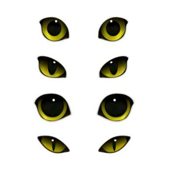 Free Vector | Cats eyes realistic set