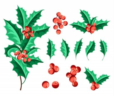 Free Vector | Christmas holly berry set.