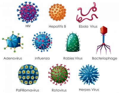 Free Vector | Close up isolated object of different types of virus