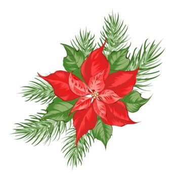Free Vector | Composition of red poinsettia flower isolated over white background.