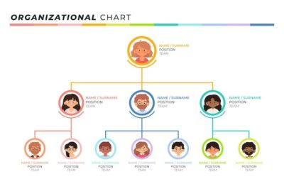 Free Vector | Flat organizational chart
