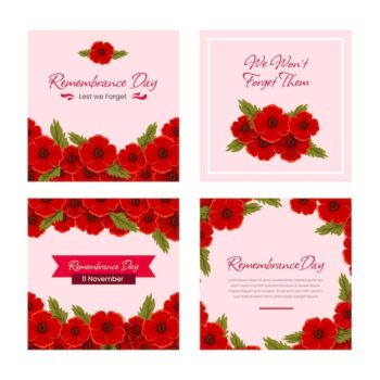 Free Vector | Flat remembrance day instagram posts collection