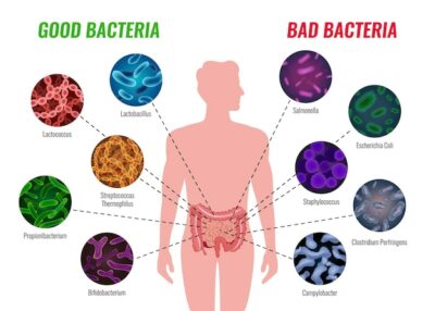 Free Vector | Good and bad bacteria poster with healthcare and treatment symbols flat   illustration