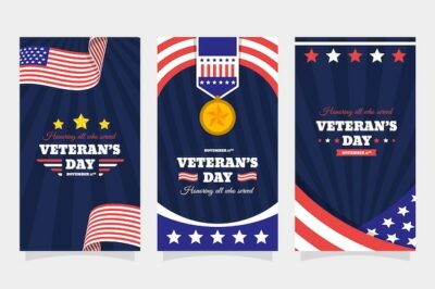 Free Vector | Hand drawn flat veteran's day instagram stories collection