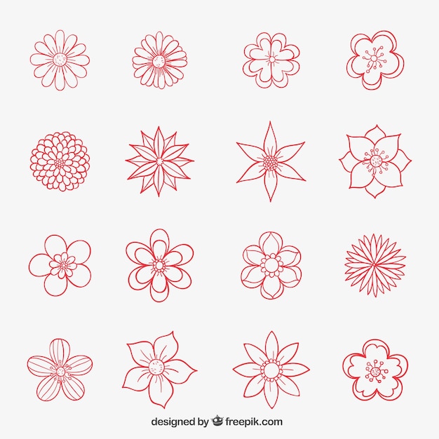 Free Vector | Hand drawn flowers collection