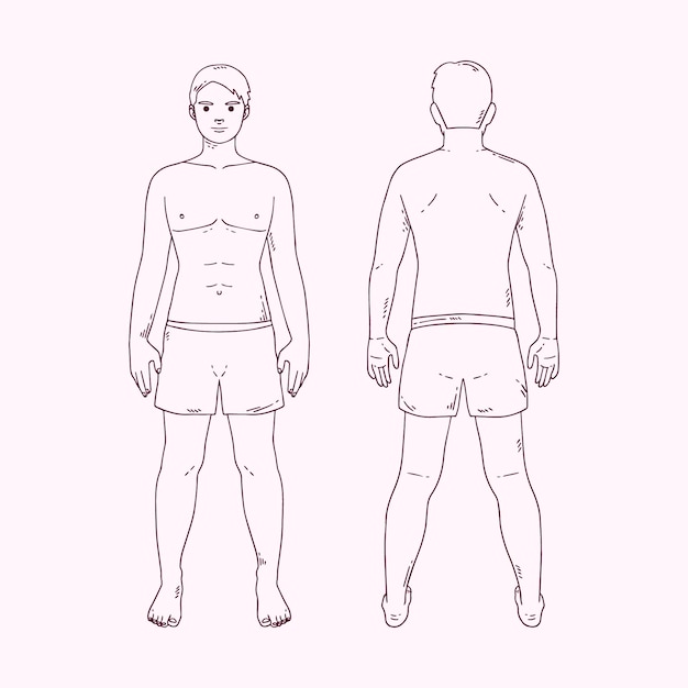 Free Vector | Hand drawn human body outline