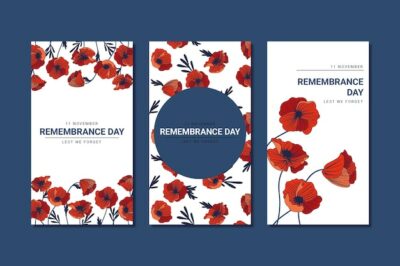 Free Vector | Hand drawn remembrance day instagram stories collection