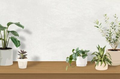 Free Vector | Indoor plant background tropical vector with blank wall