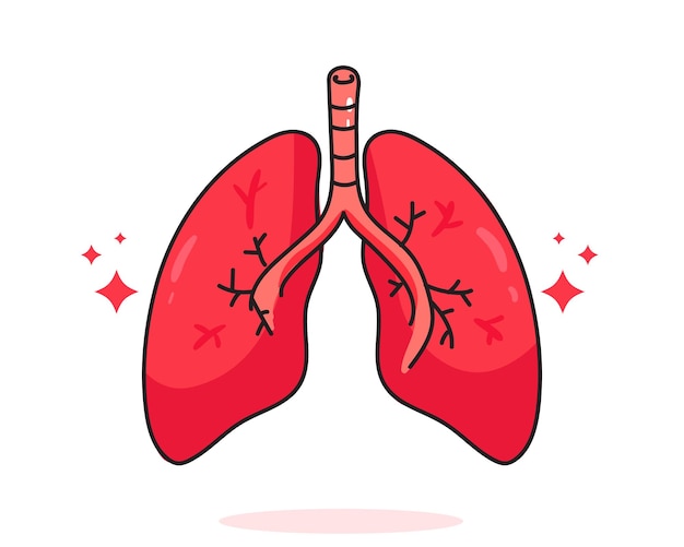 Free Vector | Lung human anatomy biology organ body system health care and medical hand drawn cartoon art illustration