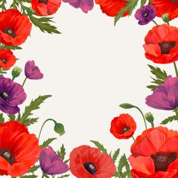 Free Vector | Poppy framed background