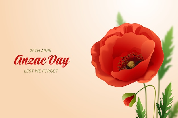Free Vector | Realistic anzac day background