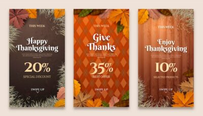Free Vector | Realistic thanksgiving instagram stories collection