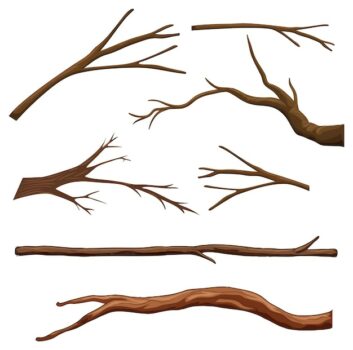 Free Vector | Set of different tree branches isolated