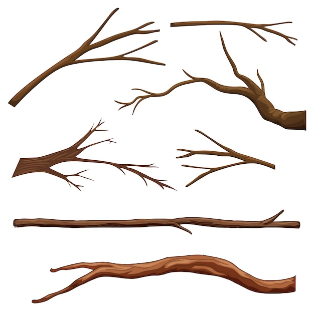 Free Vector | Set of different tree branches isolated