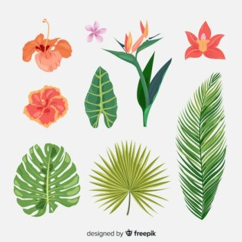 Free Vector | Tropical flowers and leaves collection