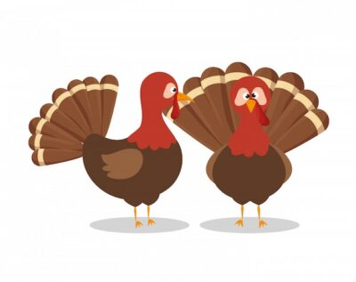 Free Vector | Two turkey animal thanksgiving