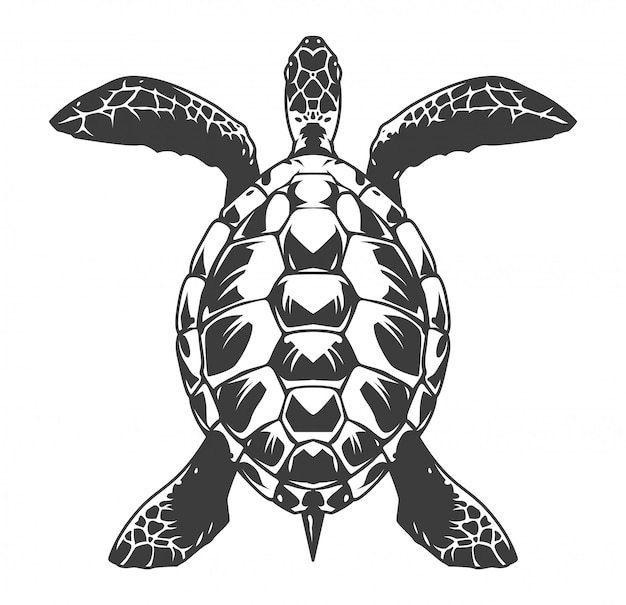 Free Vector | Vintage turtle top view illustration