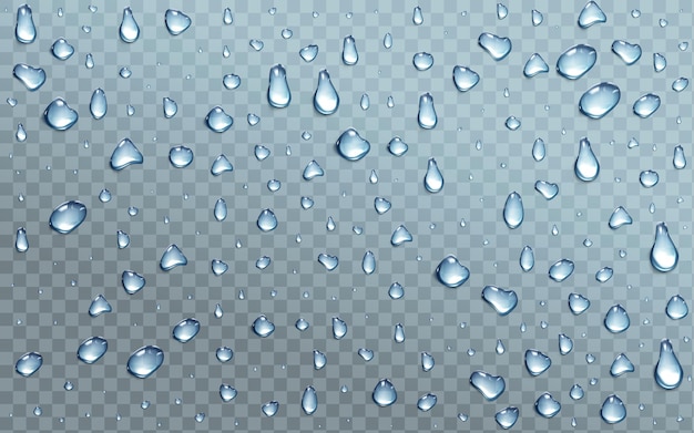 Free Vector | Water drops on transparent background, condensation, rain droplets with light reflection on window or glass surface, pure aqua blobs pattern, abstract wet texture, realistic 3d vector illustration