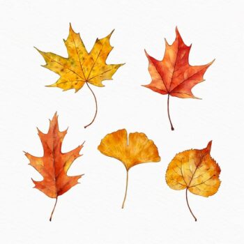Free Vector | Watercolor autumn leaves collection