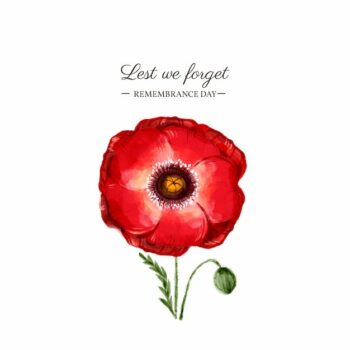 Free Vector | Watercolor remembrance day illustration