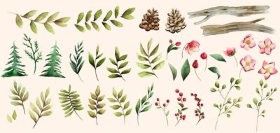 Free Vector | Watercolor set of winter flowers and leaves vector