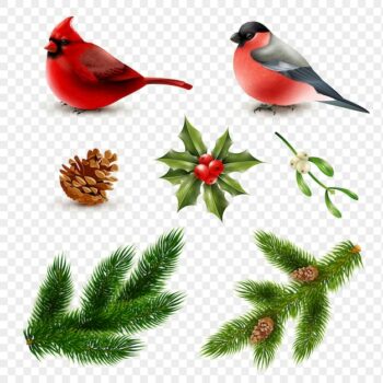 Free Vector | Winter birds fir branches set