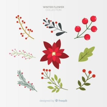 Free Vector | Winter flowers collection