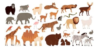 Free Vector | Zoo animals set with wild mammals and birds flat isolated vector illustration